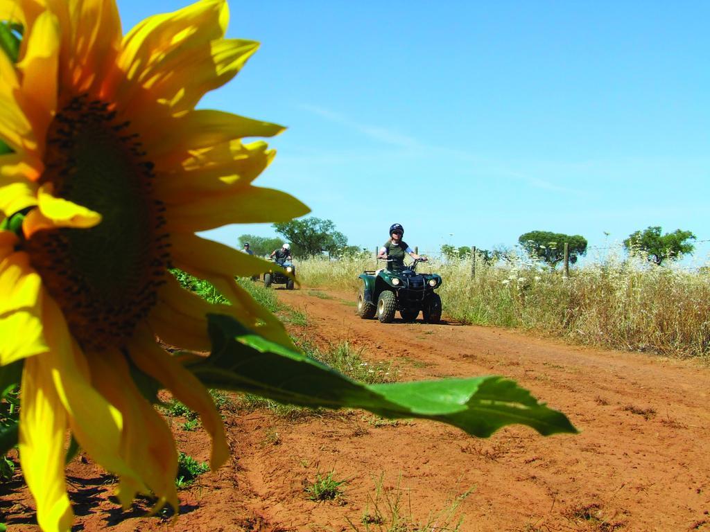 Vila Gale Alentejo Vineyard - Clube De Campo 알베르노아 외부 사진