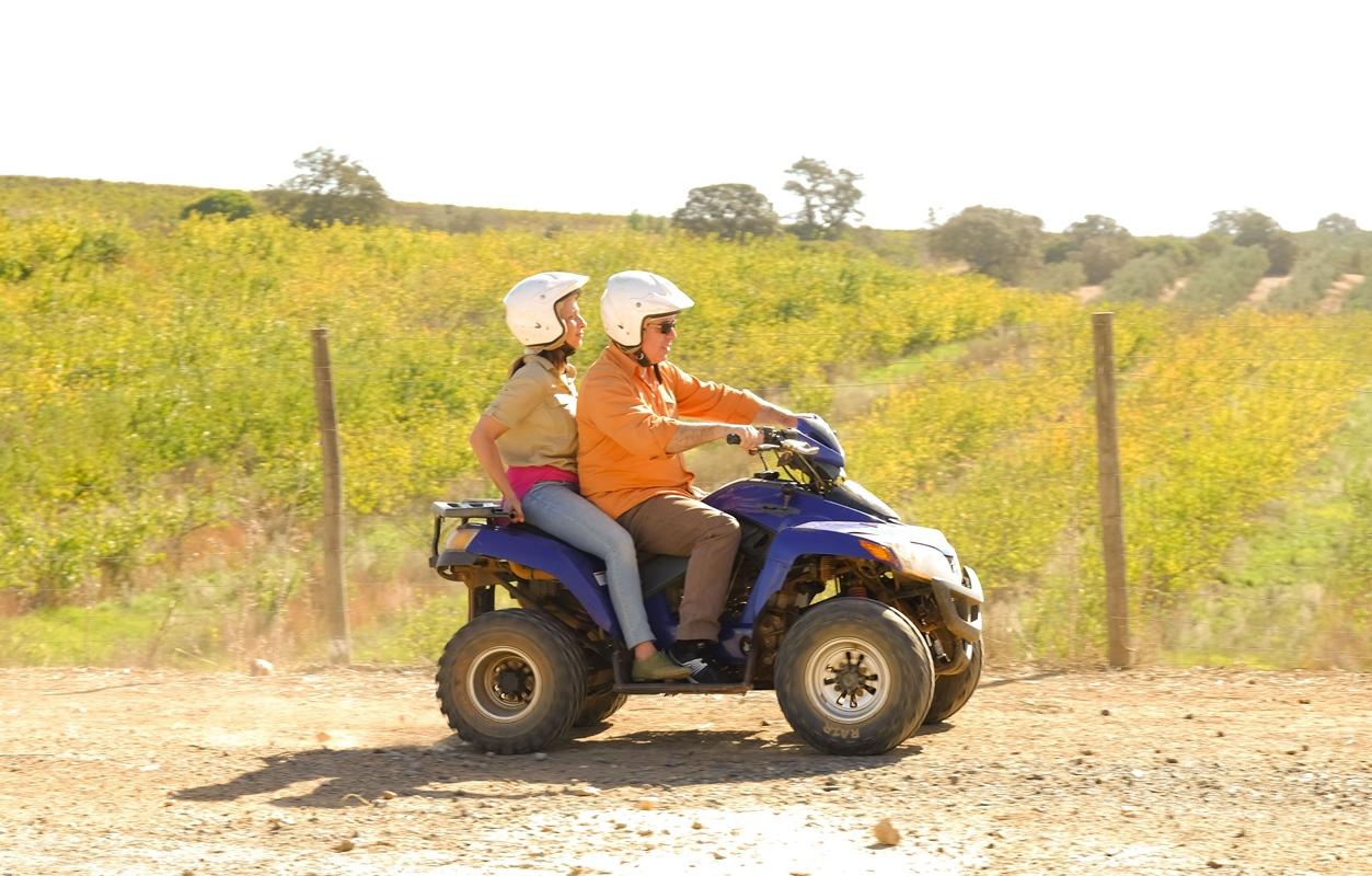 Vila Gale Alentejo Vineyard - Clube De Campo 알베르노아 외부 사진
