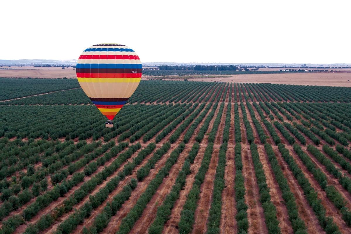 Vila Gale Alentejo Vineyard - Clube De Campo 알베르노아 외부 사진