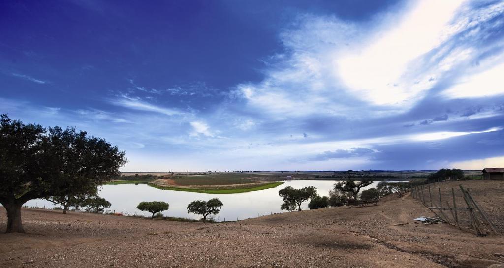 Vila Gale Alentejo Vineyard - Clube De Campo 알베르노아 외부 사진