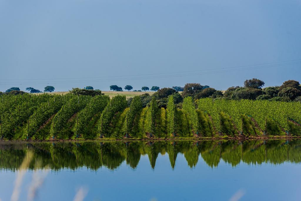 Vila Gale Alentejo Vineyard - Clube De Campo 알베르노아 외부 사진