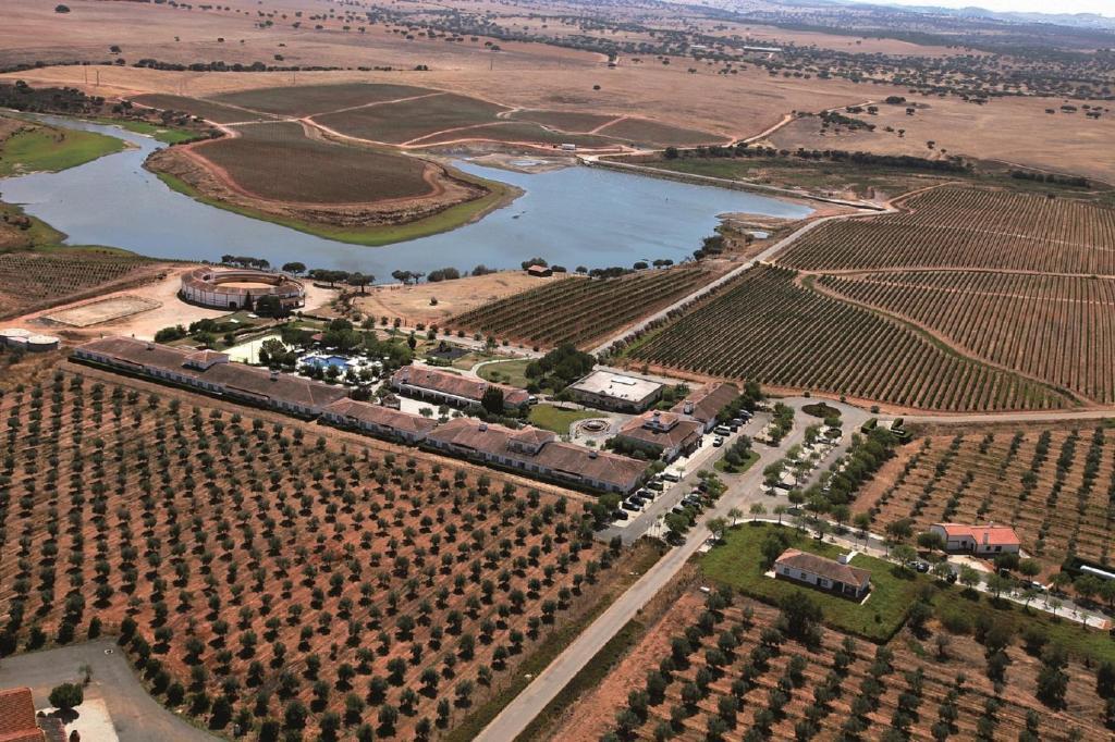 Vila Gale Alentejo Vineyard - Clube De Campo 알베르노아 외부 사진